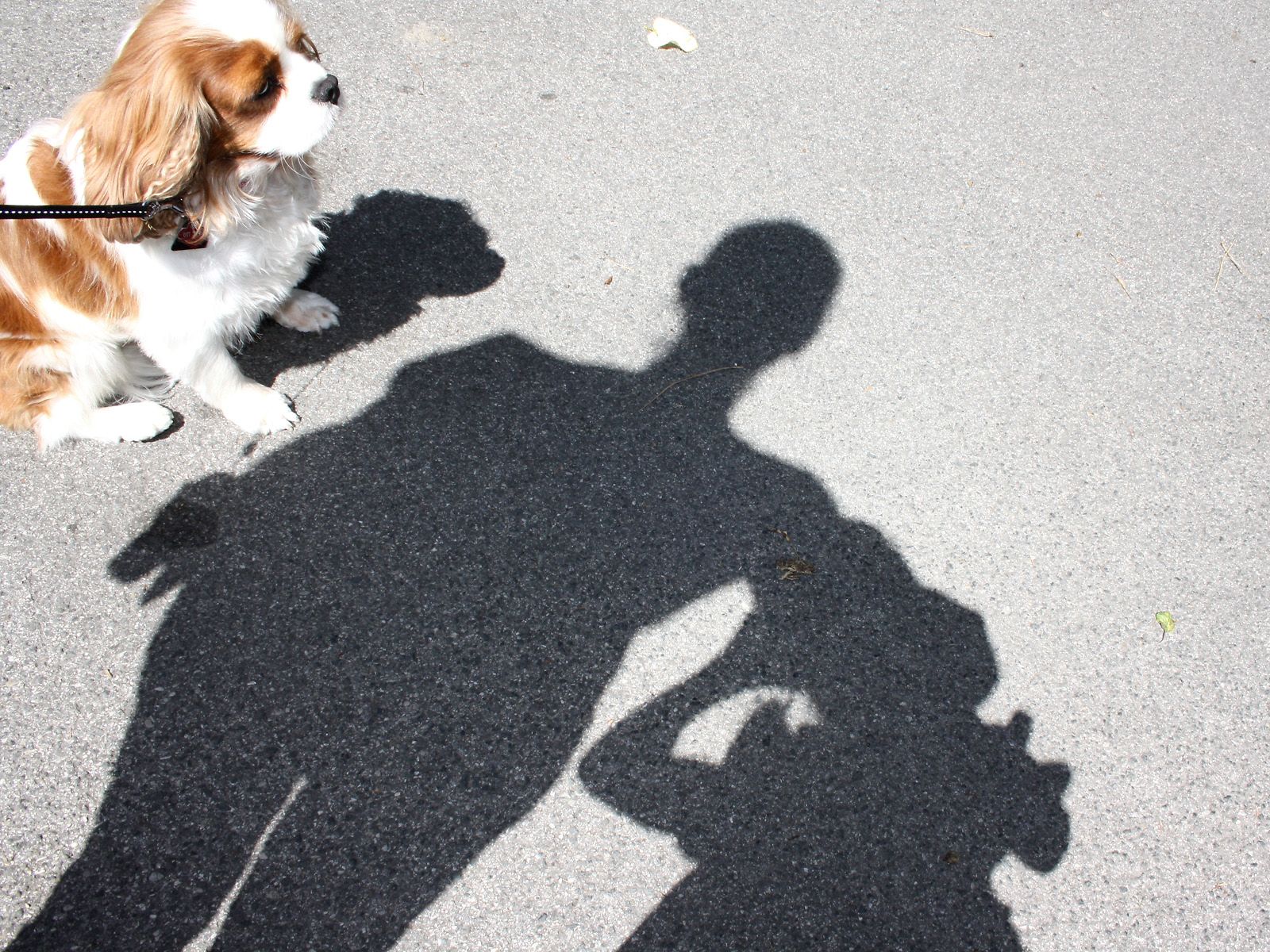 Bild von Helena Fischer, 7, Breitbrunn am Ammersee, "Ein Bild von mir"