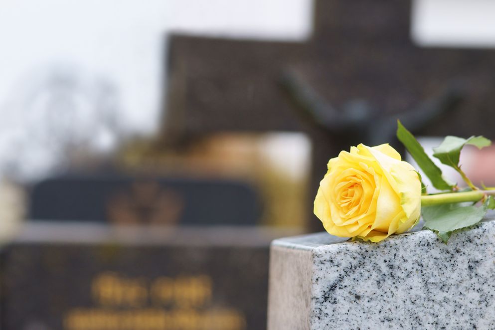Eine gelbe Rose auf einem Grabstein