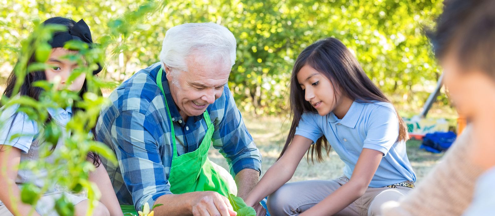 Ein älterer Mann bepflanzt zusammen mit Kindern ein Beet