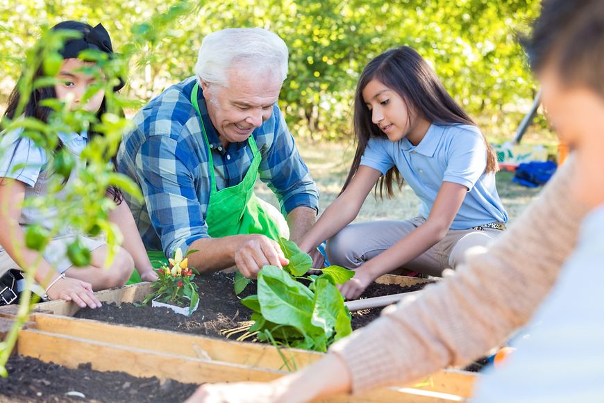 Ein älterer Mann bepflanzt zusammen mit Kindern ein Beet