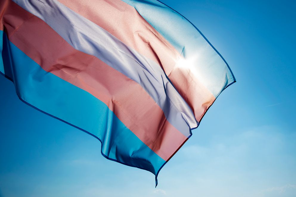 Die Trans Pride Flagge weht im Wind
