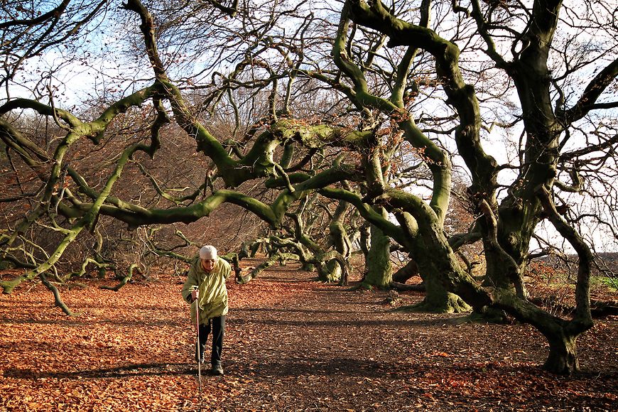 Eine ältere Frau geht im Wald mit Stock spazieren