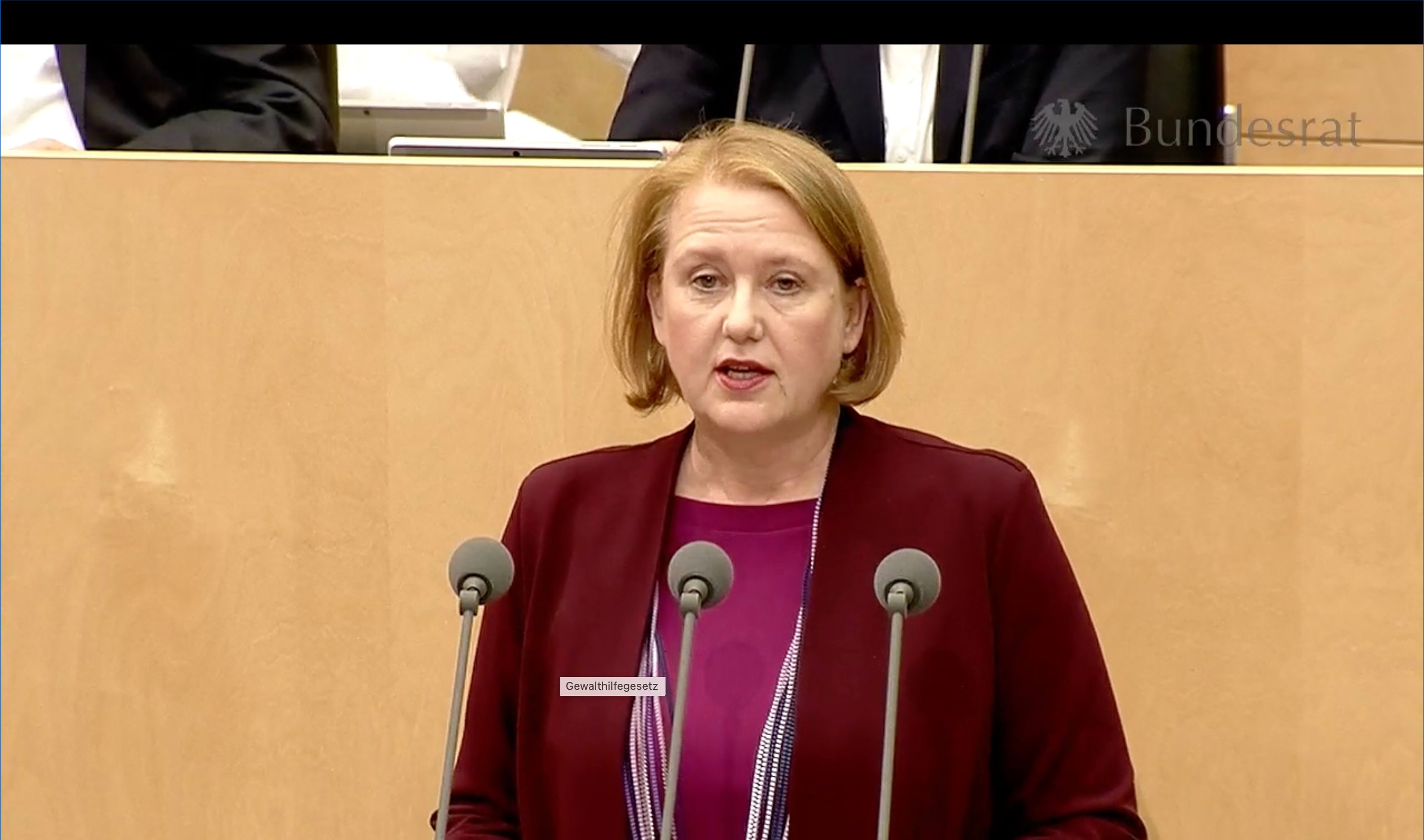 Lisa Paus