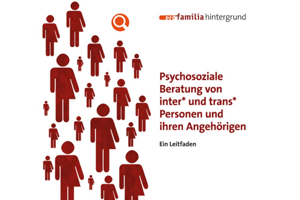 Ausschnitt aus dem Cover "Psychosoziale Beratung von inter* und trans* Personen und ihren Angehörigen"