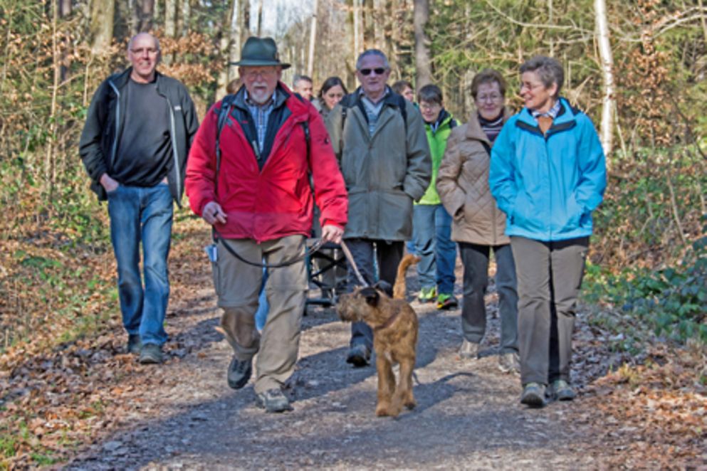 Mehrere ältere Frauen und Männer wandern gemeinsam auf einem Waldweg, Bildnachweis: Demenz Support Stuttgart gGmbH