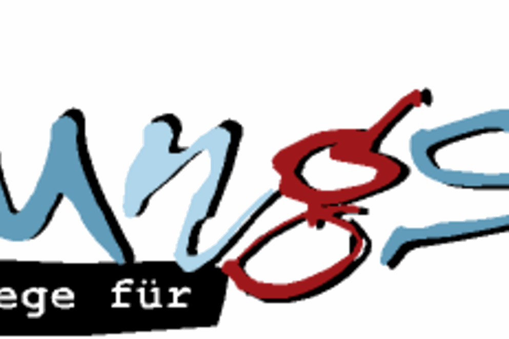 Das Bild zeigt den Schriftzug "Neue Wege für Jungs"
