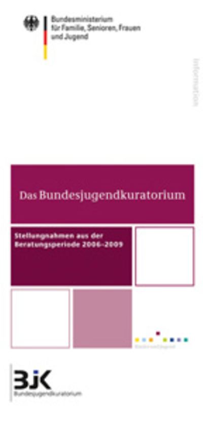 Flyer zum Bericht des Bundesjugendkuratoriums